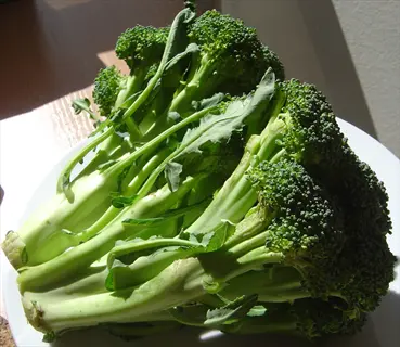 multiple broccoli florets on a plate showing varying head sizes under sunlight, emphasizing broccoli head size