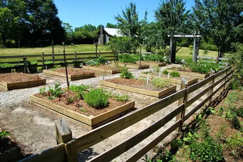 multiple cedar garden beds arranged in a sunny rural garden with wooden fence enclosures, gravel paths, and a historic farmhouse in the background
