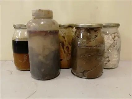 multiple mason jars showing different soil layers and sedimentation patterns in a soil science experiment