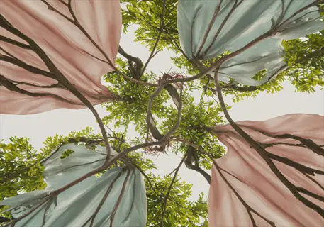 neem tree canopy view with pink and blue fabric-like structures among branches