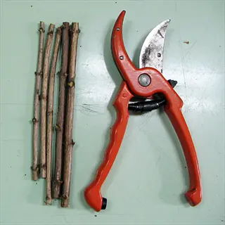 orange bypass pruning shears with metal blade beside cut plant stems on a green surface