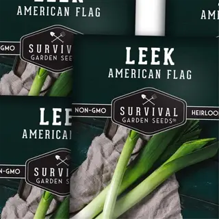 packets of 'leek american flag' seeds from survival garden seeds