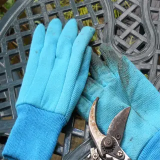 pair of blue sturdy garden gloves with pruning shears on a metal table