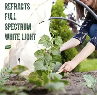 person tending cucumber plants in a light diffusing greenhouse with full spectrum light refracting film (text: 'refracts full spectrum white light', dalen logo)