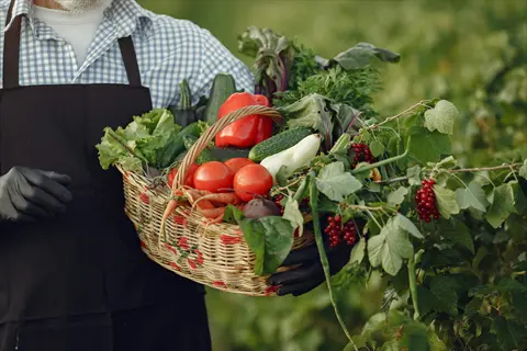 person wearing a garden harvest apron holding a wicker basket filled with freshly picked vegetables and fruits in a garden