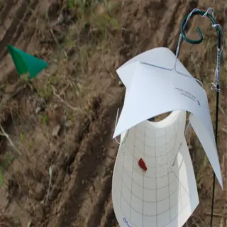 pest monitoring device with a white trap and a red lure in a field