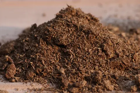 pile of dark, fibrous sphagnum peat moss used as an organic soil amendment. the coarse, decomposed material retains moisture and improves soil structure in gardening applications