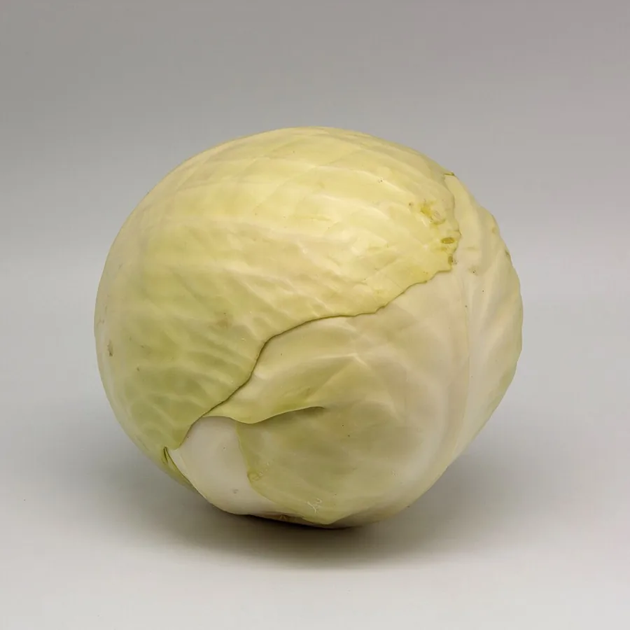 Cabbage