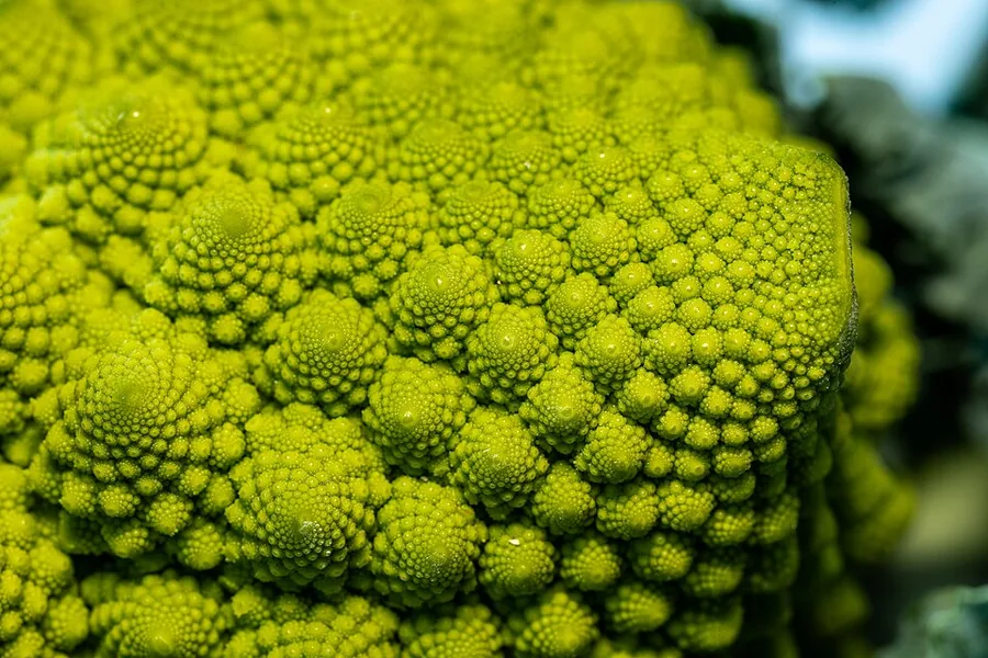 Romanesco