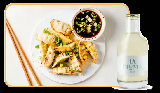plate of pan-fried dumplings topped with chopped napa scallions, soy dipping sauce with scallions, chopsticks, and la pluma brut bottle