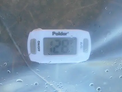 polder digital soil thermometer in a garden environment, display showing 128°f with visible water droplets on clear protective covering