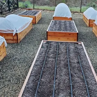 raised garden beds with some covered by frost blankets, and drip irrigation installed