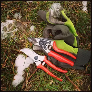 red-handled pruning shears and gardening gloves on grassy ground with snow patches in a garden setting