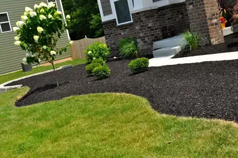 residential garden featuring dark mulch application around flowering shrubs and boxwood, with neat lawn border