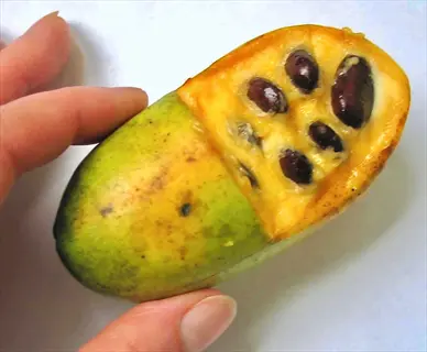 ripe pawpaw fruit cut open to reveal yellow flesh and glossy dark seeds