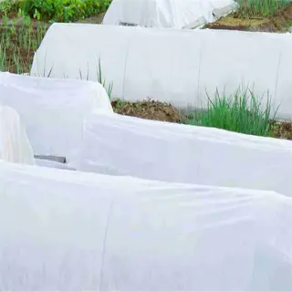rows of plants covered with white frost blankets in a garden