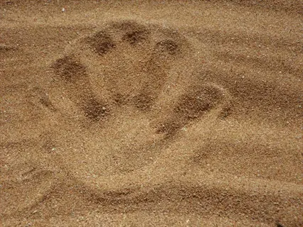 sandy soil rosemary: close-up of fine beige sand with distinct ripple patterns, illustrating ideal well-draining soil conditions for rosemary cultivation under bright sunlight