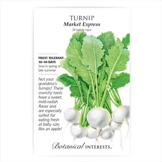 seed packet for 'market express' turnip featuring an illustration of white turnips with green leaves. text highlights frost tolerance, 30-40 day growth, and mild flavor