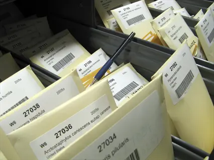 seed storage binder with organized labeled seed packets in a drawer system, featuring scientific names, collection numbers (e.g., 27036), and barcodes on manila envelopes