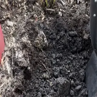 shovel digging a planting hole in dark, rich soil