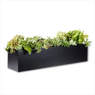 single sleek black fiberglass window planter with an assortment of green and white succulents in a rectangular trough design