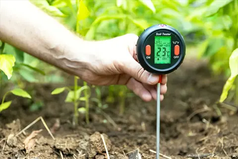 soil drainage test using digital soil tester with moisture and temperature readings (23°c, 48%) in garden soil among young green plants