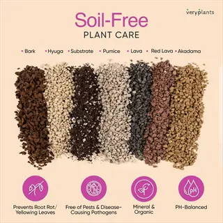 soil-free potting mix ingredients: seven labeled components (bark, hyuga, substrate, pumice, lava, red lava, akadama) with benefit icons for root health, pest prevention and ph balance