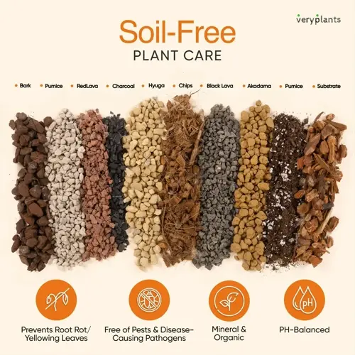 soil-free succulent soil mix components including bark, pumice, charcoal, and other organic minerals for plant care