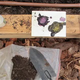 soil sample and testing kit for lead in a vegetable garden setting