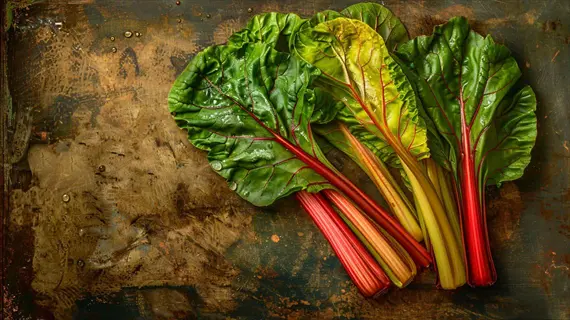 swiss chard stalks showcasing vibrant beet leaves colors with green, yellow, and red hues on a textured metal background