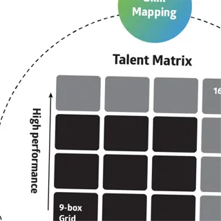 talent matrix for succession mapping with skill mapping