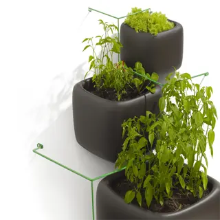 three concrete self-watering planters with various green plants