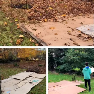 three-panel garden collage: top - cardboard garden mulch sheets covered with autumn leaves in a garden bed. bottom-left - flattened cardboard boxes prepped as mulch on grass. bottom-right - person carrying cardboard toward a wooded area for mulching