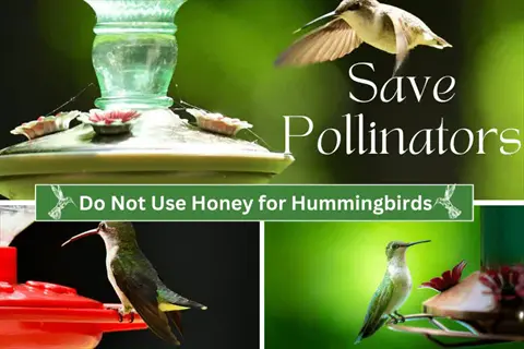 top fill hummingbird feeder with hummingbirds and 'save pollinators' conservation text