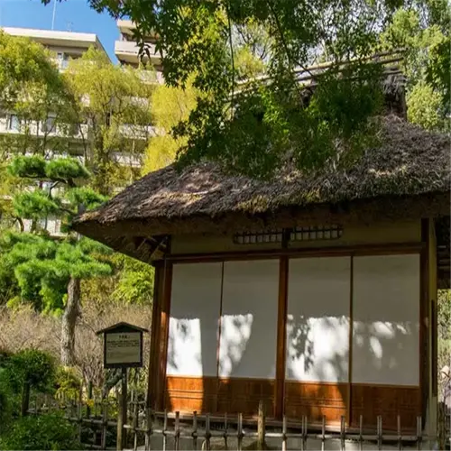 traditional japanese tea house nestled in a serene tea plant garden home surrounded by nature