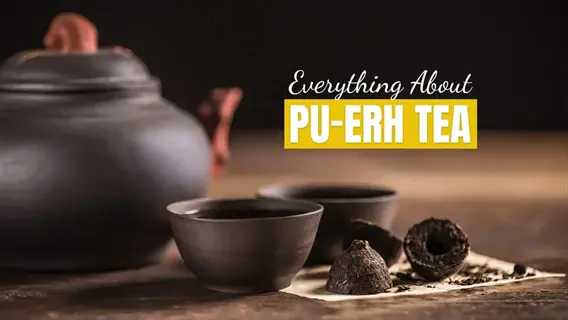 traditional pu-erh tea cake brewing scene with teapot, cups, and compressed tea cakes on wooden surface