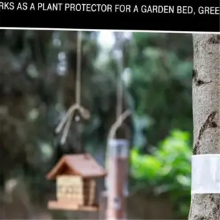 tree with a protective shield for ant deterrence