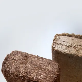 two coconut coir bricks on a white surface