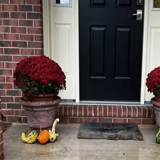 two concrete planters with red flowers and autumn decorations on a porch