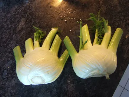 two freshly harvested fennel bulbs with stems and feathery fronds on a dark kitchen countertop, showcasing bulb cutting for culinary use
