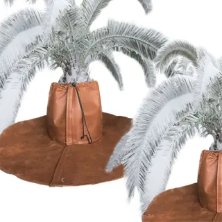 two palm trees with brown thermal plant covers and a set of metal stakes