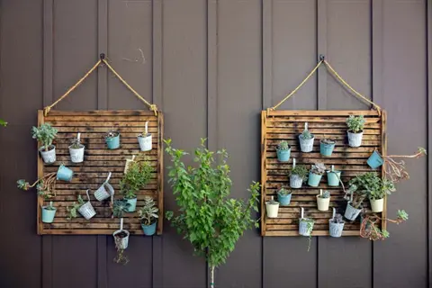 two rope-hung wall pocket succulents frames with pastel pots on brown wood siding, green plant centered between