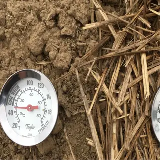 two thermometers in soil and mulch, measuring soil temperature for planting