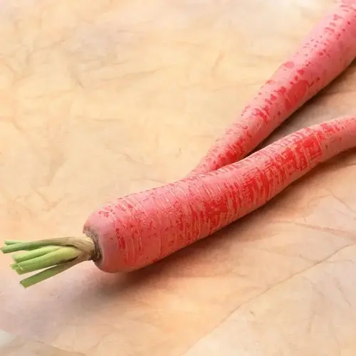 two whole pink heirloom carrot varieties with green tops on a textured beige background