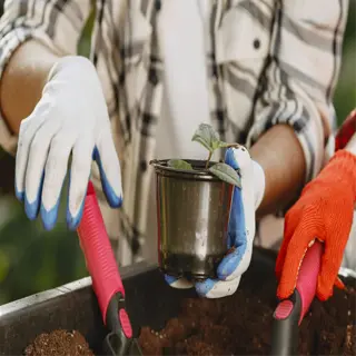 urban gardening with soil and small plant in pot