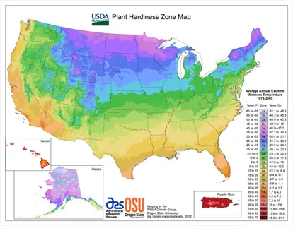 usda plant hardiness zone map with color-coded temperature zones across the united states, including alaska and hawaii insets, 1976-2005 temperature legend, and osu/prism data credits