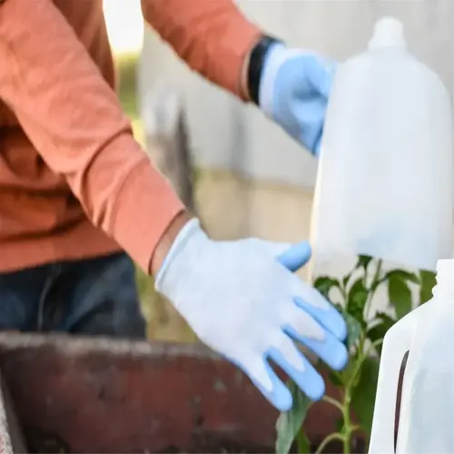 using plastic jugs as frost protection for plants in a garden