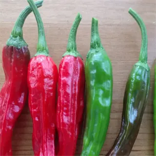 variety of shishito peppers in red and green stages of ripeness on wooden surface
