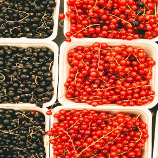 various berry containers hold red currants, black currants, and blackberries, showcasing a colorful assortment