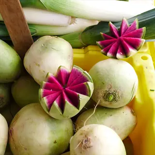 watermelon radish garden harvest: whole and sliced radishes with vibrant pink interiors displayed in yellow bins
